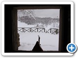 IMG_6105