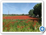 IMG_2724m